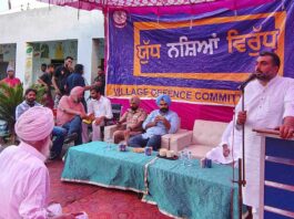 Fazilka News