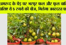 Gardening Tips