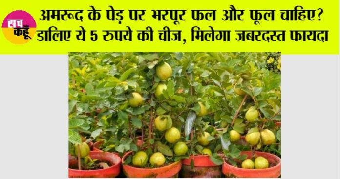 Gardening-Tips Gardening Tips