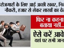Govt Job Alert