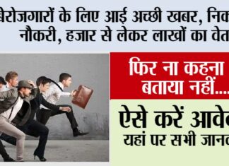 Govt Job Alert