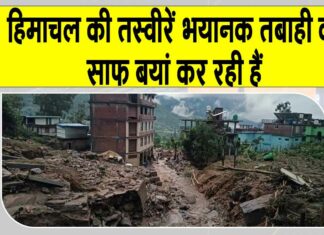 Himachal Pradesh News