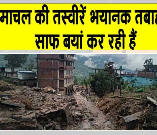 Himachal Pradesh News