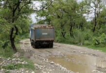 Haryana Crime