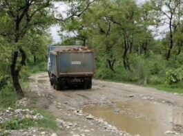 Haryana Crime