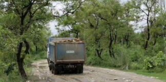 Haryana Crime