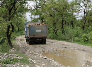 Haryana Crime