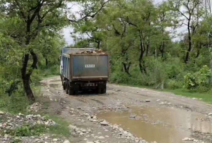 Haryana Crime