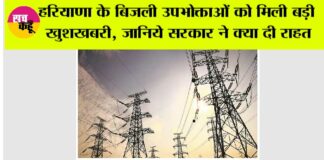 Haryana Electricity