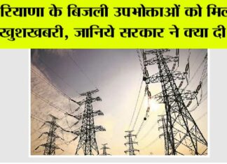Haryana Electricity