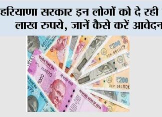 Haryana Government News