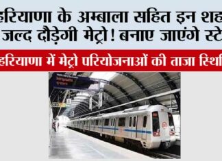 Haryana Metro News
