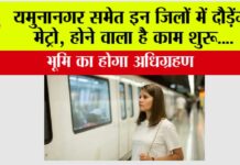 Haryana Metro News