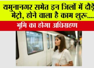 Haryana Metro News