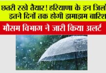 Haryana Monsoon