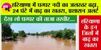 Haryana Monsoon