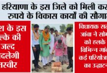 Haryana News