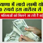 Haryana News