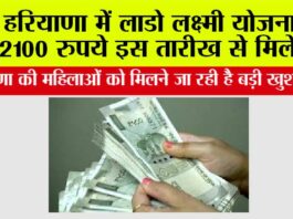 Haryana News