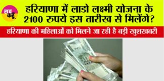 Haryana News