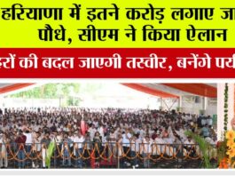 Haryana News