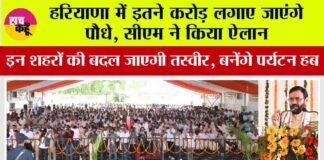 Haryana News