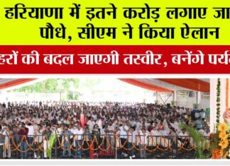 Haryana News