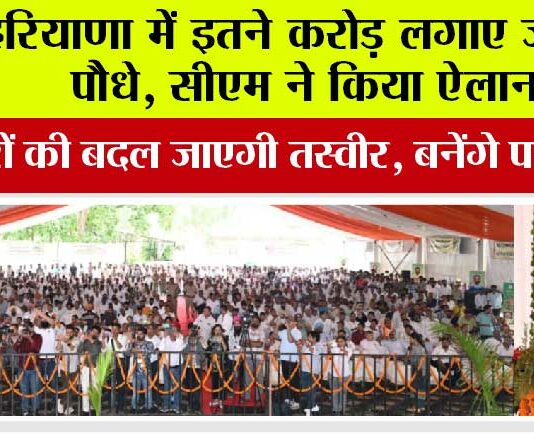 Haryana News