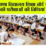 Haryana News: