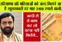 Haryana News