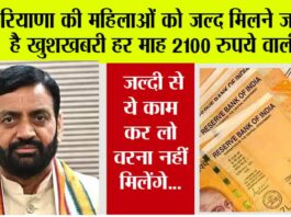 Haryana News
