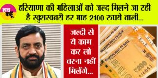 Haryana News
