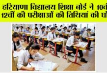 Haryana News:
