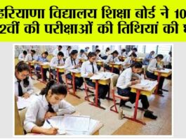 Haryana News: