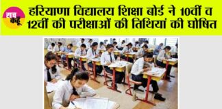 Haryana News:
