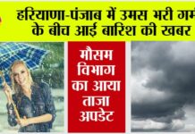 Haryana-Punjab Rain News