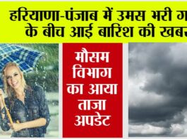 Haryana-Punjab Rain News