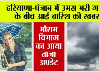 Haryana-Punjab Rain News