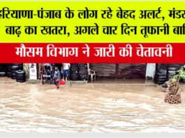 Haryana Punjab Weather Alert