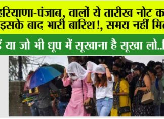 Haryana-Punjab Weather Alert: