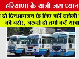 Haryana Roadways News