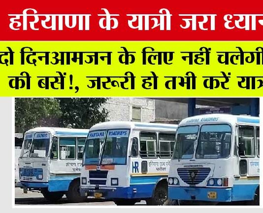 Haryana Roadways News