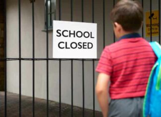 Haryana School Closed News