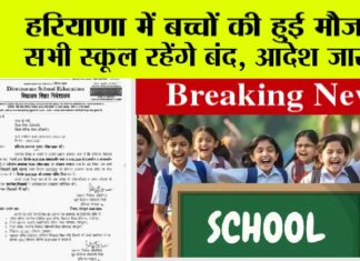 Haryana School Holidays: