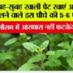 Health Tips
