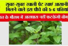 Health Tips