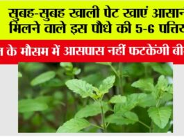 Health Tips