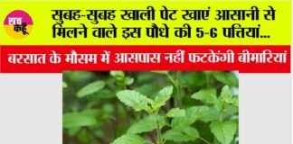 Health Tips
