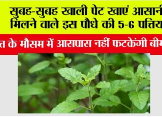 Health Tips