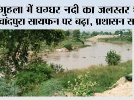 Jakhal